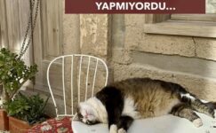 HERKESİN YAKA SİLKTİĞİ ÖĞRENCİLER BİLE BENİM DERSİMDE HİÇ TAŞKINLIK YAPMIYORDU…