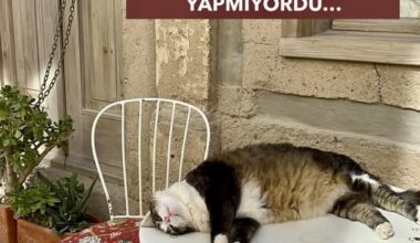 HERKESİN YAKA SİLKTİĞİ ÖĞRENCİLER BİLE BENİM DERSİMDE HİÇ TAŞKINLIK YAPMIYORDU… HERKESİN YAKA SİLKTİĞİ ÖĞRENCİLER BİLE BENİM DERSİMDE HİÇ TAŞKINLIK YAPMIYORDU…