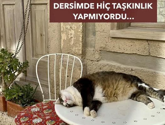 HERKESİN YAKA SİLKTİĞİ ÖĞRENCİLER BİLE BENİM DERSİMDE HİÇ TAŞKINLIK YAPMIYORDU…