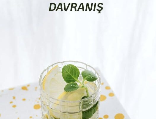 PROTOKOLÜ KIZDIRAN DAVRANIŞ