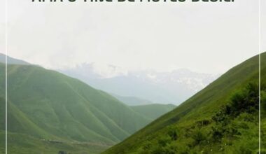 BÜTÜN DİKKATİMİZİ ÇOCUĞUMUZA VERİYORUZ, BÜTÜN DİKKATİMİZİ ÇOCUĞUMUZA VERİYORUZ,