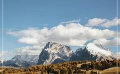 İNSANCA DAVRANAN BİR AĞABEY