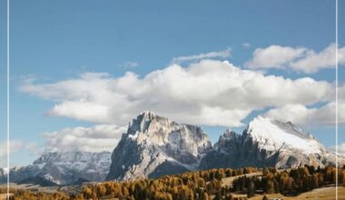 İNSANCA DAVRANAN BİR AĞABEY