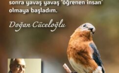 DAMDAN DÜŞEN PSİKOLOG