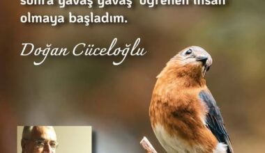 DAMDAN DÜŞEN PSİKOLOG