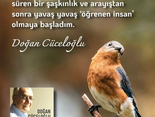 DAMDAN DÜŞEN PSİKOLOG