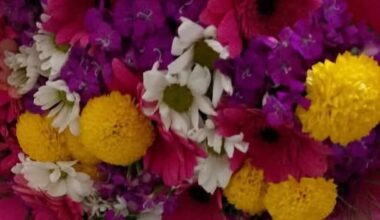 SÖYLEŞİDEN ARTA KALAN SÖYLEŞİDEN ARTA KALAN