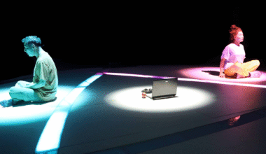 İBB Şehir Tiyatroları – Sivrisinekler