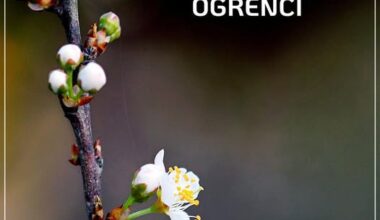 KIŞ GÜNÜNDE SAÇINI KAZITAN ÖĞRENCİ KIŞ GÜNÜNDE SAÇINI KAZITAN ÖĞRENCİ