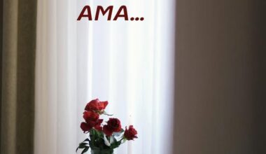 GÖREVİ DEĞİLDİ AMA…