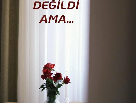 GÖREVİ DEĞİLDİ AMA…