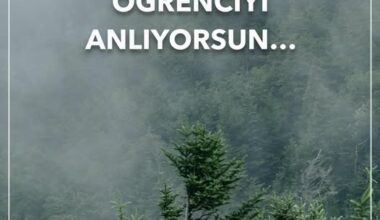 VELİYİ TANIYINCA ÖĞRENCİYİ ANLIYORSUN…