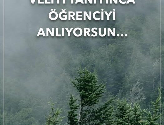 VELİYİ TANIYINCA ÖĞRENCİYİ ANLIYORSUN…