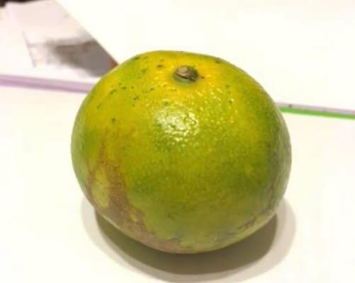 ABİ, MANDALİNA SEVER MİSİN?