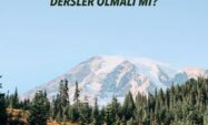 ÜNİVERSİTELERDE GENÇLERİ EVLİLİK HAYATINA HAZIRLAYAN DERSLER OLMALI MI? ÜNİVERSİTELERDE GENÇLERİ EVLİLİK HAYATINA HAZIRLAYAN DERSLER OLMALI MI?
