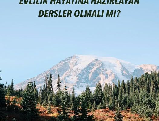 ÜNİVERSİTELERDE GENÇLERİ EVLİLİK HAYATINA HAZIRLAYAN DERSLER OLMALI MI? ÜNİVERSİTELERDE GENÇLERİ EVLİLİK HAYATINA HAZIRLAYAN DERSLER OLMALI MI?
