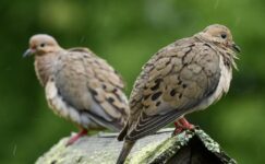 ANLAŞILMAMIŞ HİSSETMEK