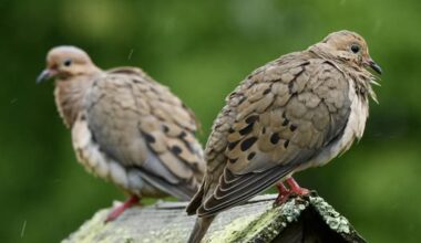 ANLAŞILMAMIŞ HİSSETMEK ANLAŞILMAMIŞ HİSSETMEK