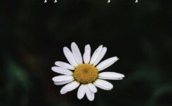 ÖĞRENCİM BİR ÇİÇEK GİBİ AÇILMIŞTI