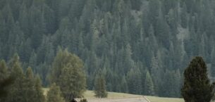 İNŞALLAH, ÜLKEME VE İNSANLIĞA GÜZEL BİR İZ BIRAKIRIM