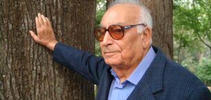 “Filler ve Karıncalar”