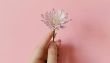 İNSANIN AKLI İNSANIN AKLI