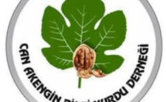 ISRARLA BEKLEYİNİZ!!!