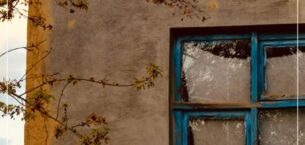 “Öğrenilmiş Cehalet”