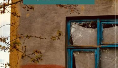 “Öğrenilmiş Cehalet”