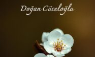 GEDİKLİ ANNE
