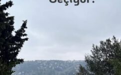 Siz Kimin Tanığısınız?