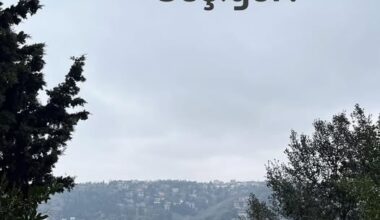 Siz Kimin Tanığısınız?