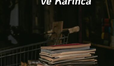 Ağustos Böceği ve Karınca