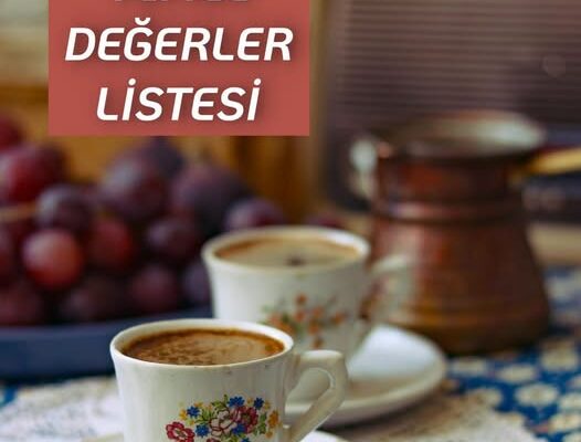 VAROLUŞ DEĞERLERİ