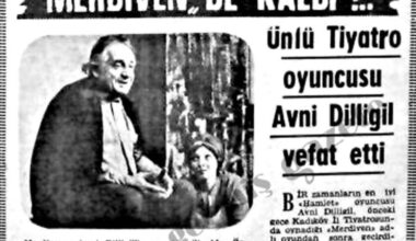 Avni Dilligil