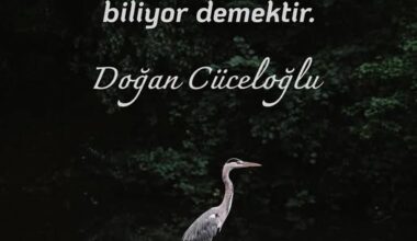 Zaman Yönetimi mi, Yaşam Yönetimi mi? Zaman Yönetimi mi, Yaşam Yönetimi mi?