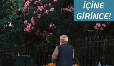 İNSAN ÇARKIN İÇİNE GİRİNCE!