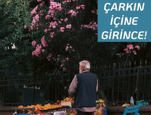 İNSAN ÇARKIN İÇİNE GİRİNCE!