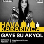 Hava Kararınca