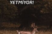 İYİ NİYET YETMİYOR!