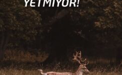 İYİ NİYET YETMİYOR!
