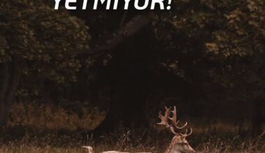 İYİ NİYET YETMİYOR! İYİ NİYET YETMİYOR!