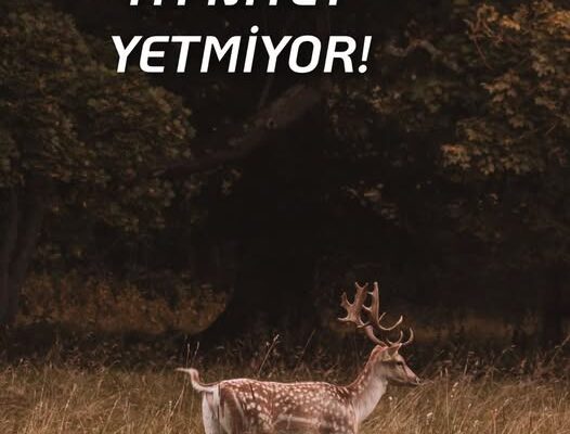 İYİ NİYET YETMİYOR!