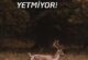 İYİ NİYET YETMİYOR!
