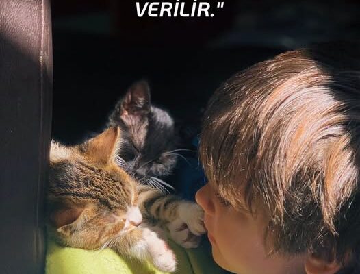 DEĞERLER VE VİCDAN BİR İNSANA ÇOCUKKEN VERİLİR.