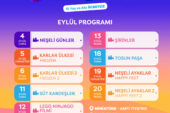 Yazlık Sinema