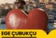 Ege Çubukçu