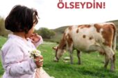 SEN DE ÖLSEYDİN!