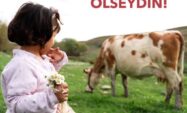 SEN DE ÖLSEYDİN! SEN DE ÖLSEYDİN!