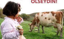 SEN DE ÖLSEYDİN!